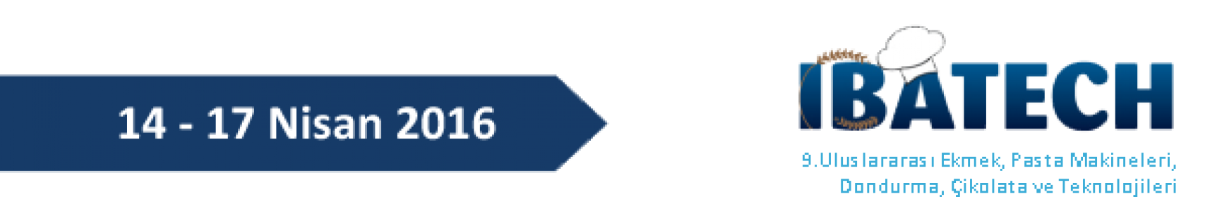 Project Name
